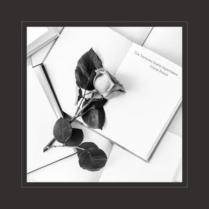 日本三级黄色片BXXX
